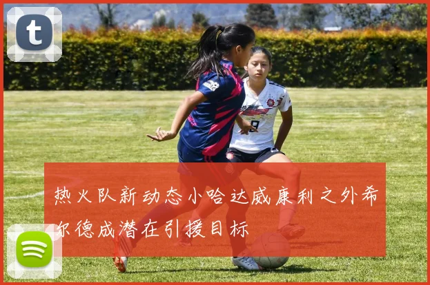 热火队新动态小哈达威康利之外希尔德成潜在引援目标